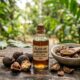 Aceite de Andiroba: Nutrición Profunda de la Amazonía para el Cuidado de la Barrera Cutánea